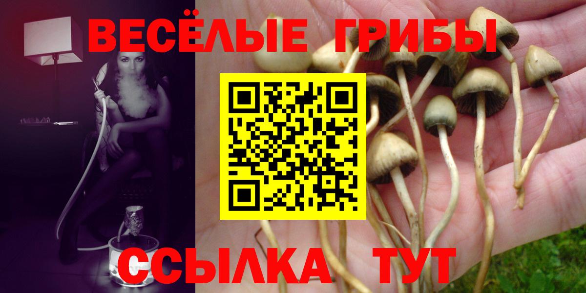 Галлюциногенные грибы Psilocybine cubensis  Галлюциногенные грибы GOLDEN TEACHER  Сибай  Вход с VPN 